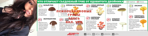 амф Абдулино