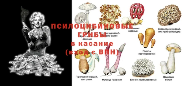 амф Абдулино